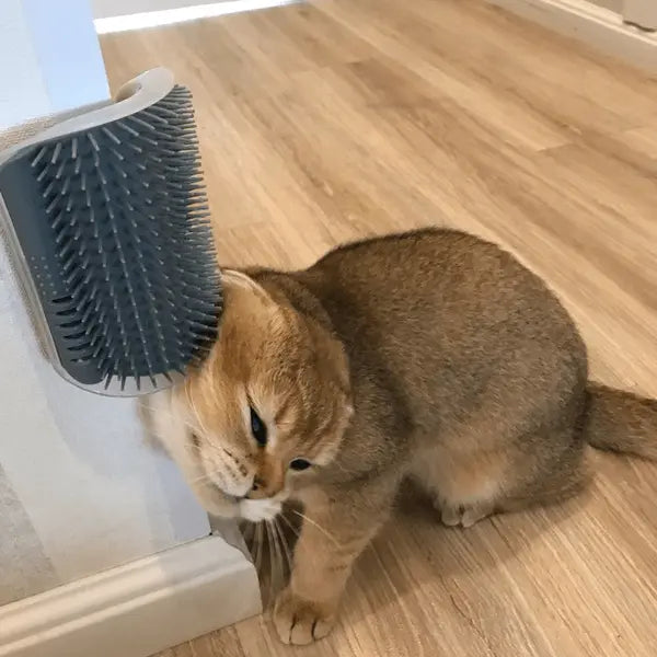 Cat Self-Grooming Brush Pet Wall Rubbing Device - Posadas